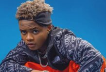 Nigerian singer and songwriter Charles Chibueze Chukwu aka 'Crayon'