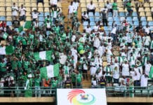 Nigeria football fans