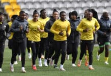 Argentina vs Banyana Banyana lineups and odds